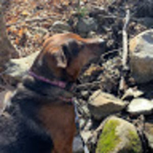 Meet your Posher, Conan